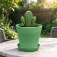 thumbnail image 4 of Fareti 5.5 Inch Plant Pots, Small Flower Pots for Indoor Plant Pot Succulent Pot with Drainage Planters for Indoor Plants, Green, 4 of 5