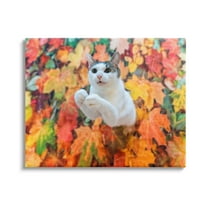 Stupell Industries Cat in Autumn Leaf Pile Animals & Insects Photography Gallery Wrapped Canvas Art Print Wall Art, 48 x 36