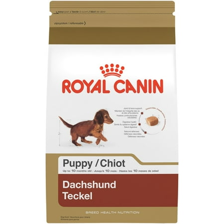 What s the Best Dog Food for Dachshunds