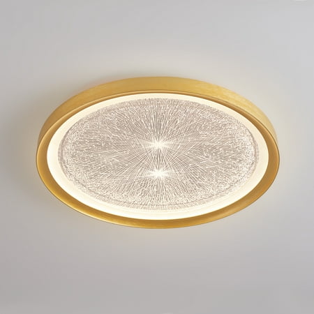 

Modern Gold LED Celing Light 20 Round Flush Mount Ceiling Light with Remote Control Firework Dimmable LED Gold Ceiling Lamp Gold Ceiling Chandelier for Living Room Bedroom Dining Room