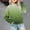 Green, variant on Long Sleeve Crop Top for Girls 10-12 Zip Up Hoodie 6X Sweatshirts Size Zip Up White Knit Pullover Sweaters Teen Shirts Tunic Tops Blouses Tween Graphic Tees 10-12