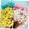 thumbnail image 4 of FUEENIRVA 100Pcs Mini Daisy Decorative Dried Flowers Yellow Home Decoration Handcrafted, 4 of 8