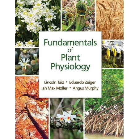 UPC: 9781605357904 | Fundamentals of Plant Physiology (Paperback)