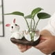 thumbnail image 4 of A Cartoon Cute Rabbit Hydroponic Flower Vase for Home Decor, 4 of 5