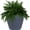 Slate, variant on 24-Inch Anjelica Large Plastic Pot for Plants - Outdoor Double-Walled Large Plastic Planter with Drillable Drainage Holes - Matte Black