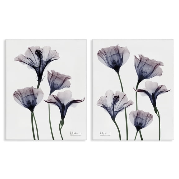 Stupell Industries Bountiful Dusk Lilies Floral Painting Wrapped Canvas Canvas Art Print Wall Art, 16 x 20, Set of 2