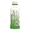 BODYARMOR LYTE Sports Drink, Coconut, 16 Fl. Oz., 12 count