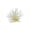 #1 Beige【1x Fish Tank Ornament】, variant on Glowing Artificial Aquarium Decor, Plastic Luminous Fish Ornament, Freshwater Saltwater Night Light Sea Reef, Small Hideout for Shrimp Turtle, 2.13" x 4.37" x 5.04", KTFgvq