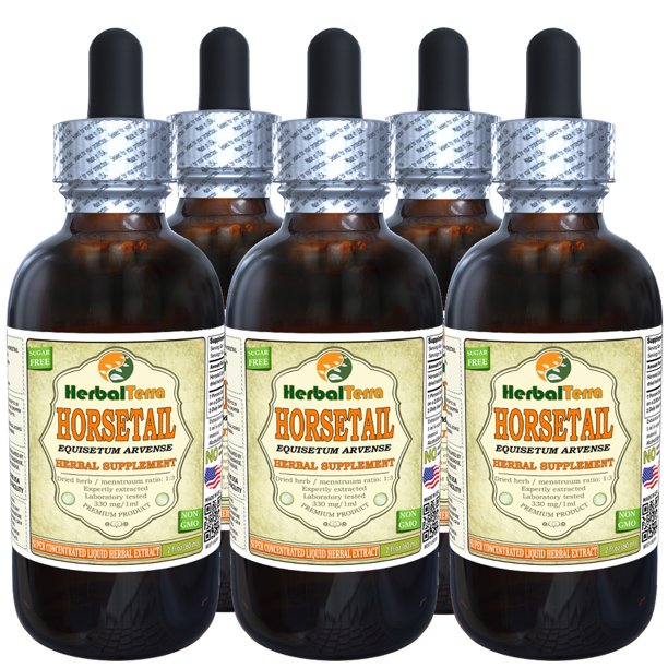 Horsetail (Equisetum Arvense) Tincture, Organic Dried Herb Liquid Extract (Herbal Terra, USA