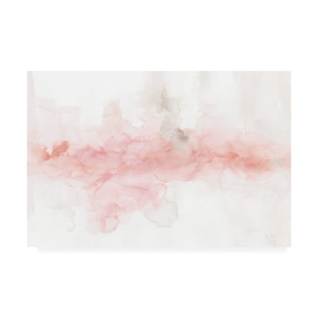 Trademark Fine Art 'Rainbow Seeds Abstract Blush Gray Crop' Canvas Art ...