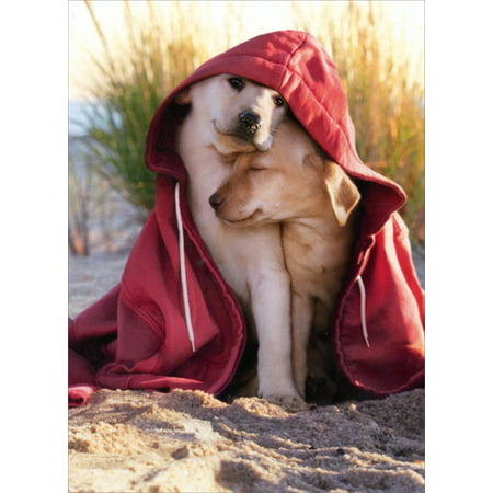 Avanti Press Dogs In Hoodie Dog Valentines Day Card