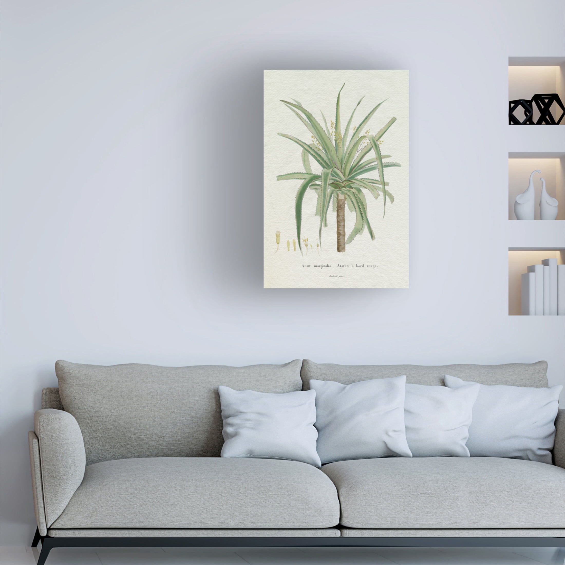Trademark Fine Art Pierre Redoute  Redoute Succulent II Canvas Wall Art