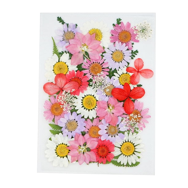Artesanías de flores secas naturales Ramos en relieve Flores prensadas Decoraciones florales Decorativos para el hogar para tarjetas de boda Resina Vela Pink Floral By Speravity HA010758-04