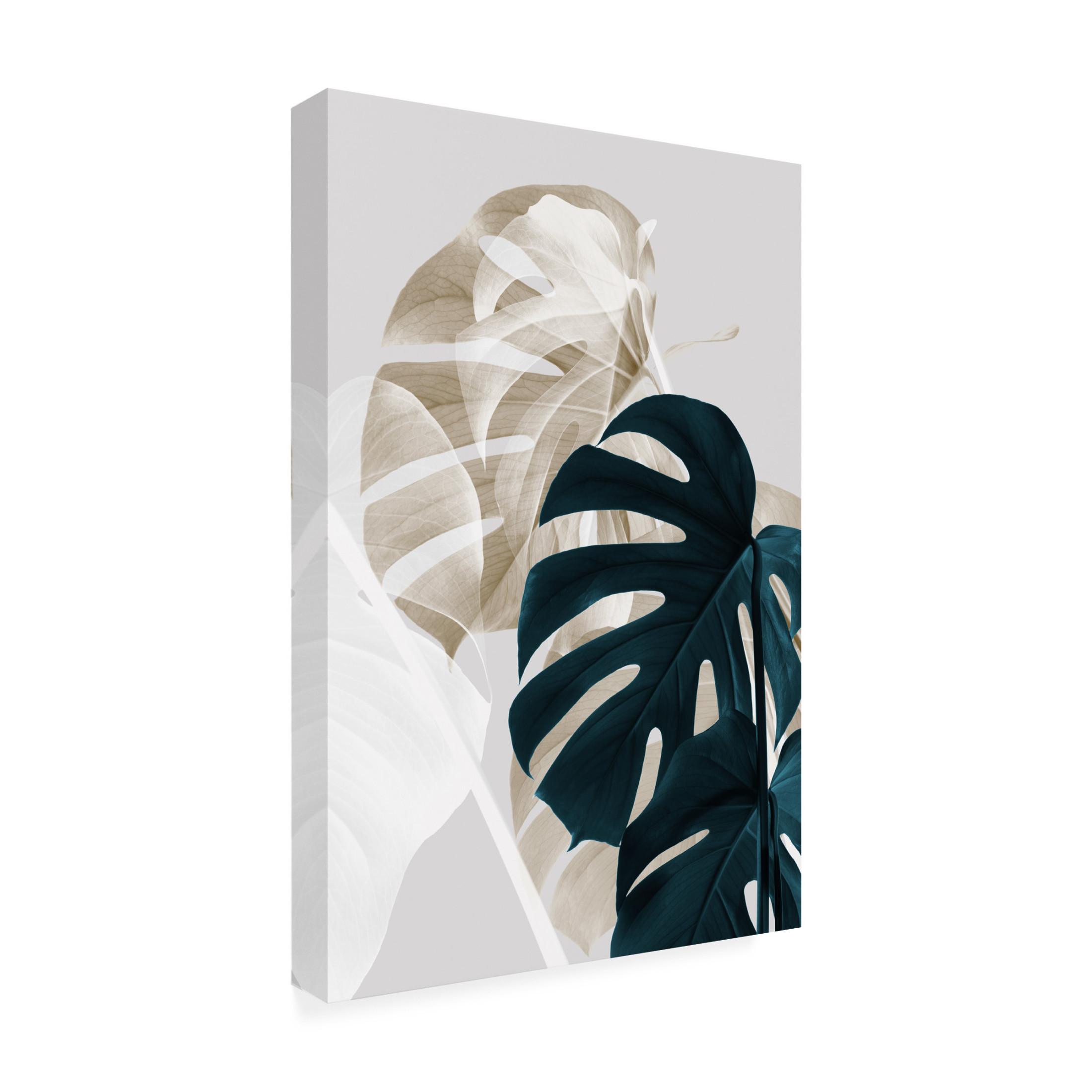 Pictufy Studio III 'Monstera Creative 5' Canvas Art - 12 x 19 Inches