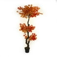 thumbnail image 1 of Zentique ZEN-180503-31 Rouge et Orange Mini Érable en Pot&44; 31 Po., 1 of 1