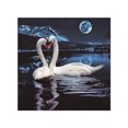thumbnail image 1 of 5D DIY diamante cisne / mariposa gato / flor pintura punto de cruz resina redonda diamantes de imitación bordado imagen decoración del hogar Eigraketly JJ15635-01, 1 of 6