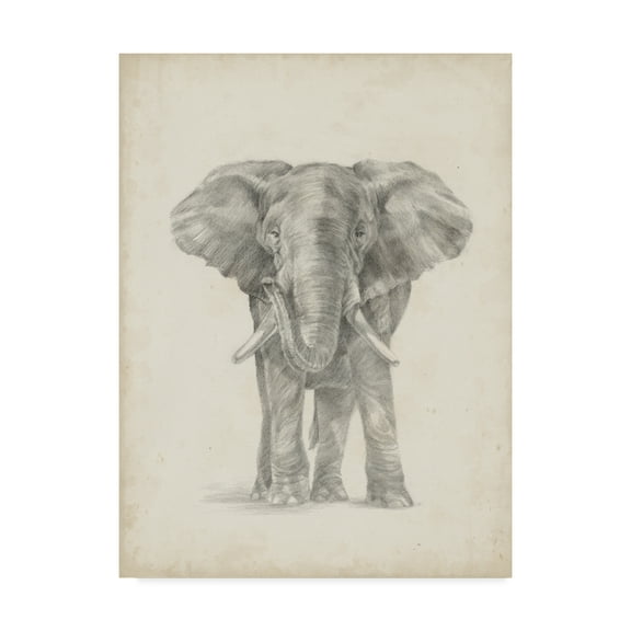 Trademark Fine Art 'Elephant Sketch II' Canvas Art by Ethan Harper