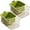 Green, variant on Multi-functional Drain Basket 2025 New Fruit Cleaning Bowl with Strainer Container, Kitchen Sink Food Catcher Drainer Fruit Rinser Bowl (1, Yellow)