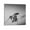 Frame-style, variant on Robert Mapplethorpe Lily Canvas Famous Paintings, Wall Art Posters, Decorative Hanging Pictures Artworks Canvas Poster Room Aesthetic Wall Art Prints Home Modern Decor Gifts 20x20inch(50x50cm)