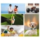 thumbnail image 3 of Mini Action Camera 1.47inch Display 1080P Small Stabilization Sport Cam for Vlog Mini Pet Anywhere NO TF Card, 3 of 5
