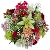 Fresh-Cut Mega Mixed Mother's Day Flower Bouquet, Minimum 28 Stems, Colors Vary