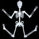 thumbnail image 4 of Juguete de Halloween Fiudx Cráneo luminoso esqueleto cuerpo aterrador, 4 of 7