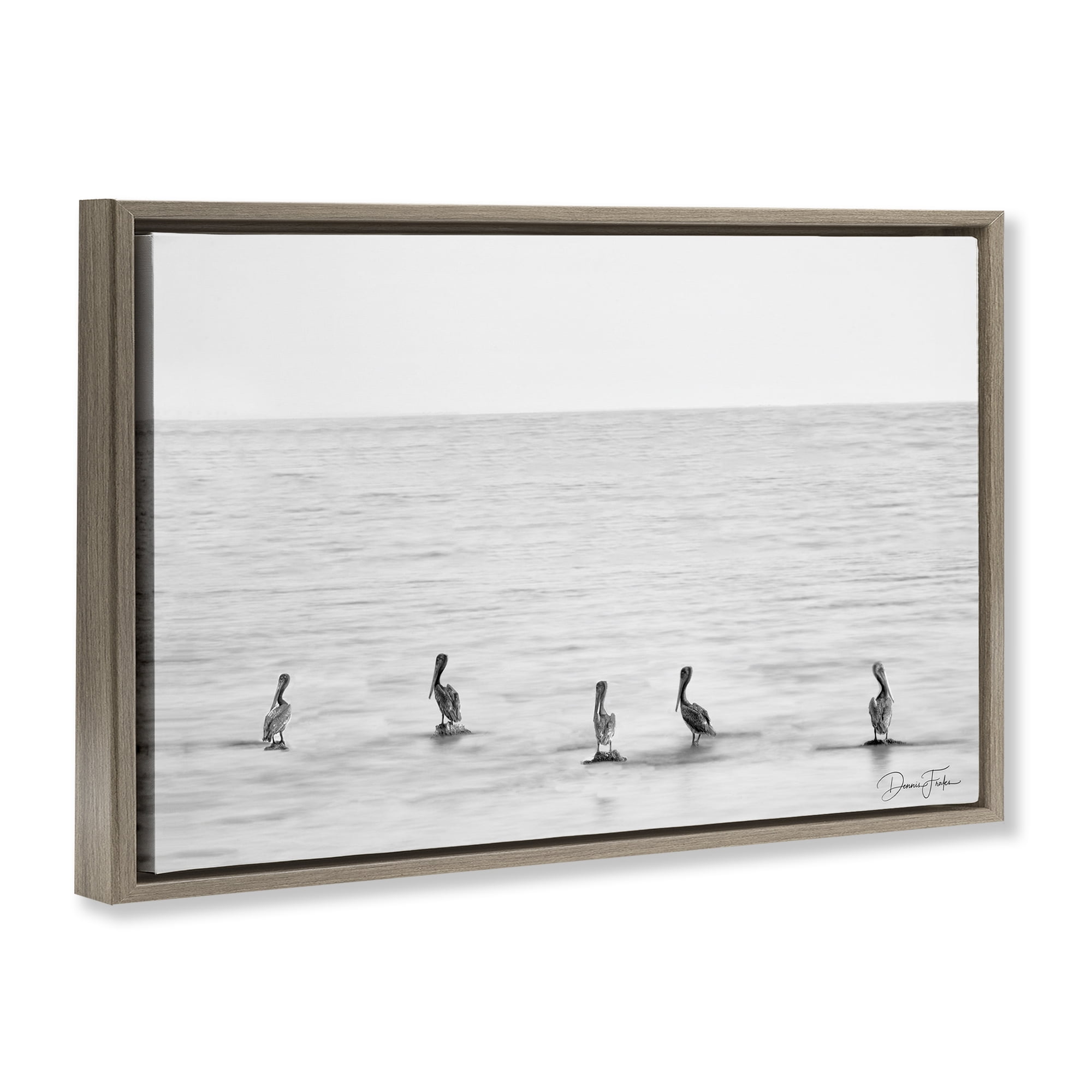 Stupell Industries Pelicans on Shore Landscape Photography Brown Floater Framed Canvas Art Print Wall Art, 31 x 21
