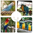 thumbnail image 6 of OFFIGAM Wooden Bird Swing and Parrot Perch Stand in Assorted Colors with Bite Resistant Design for Pet Birds, 6 of 8