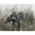 thumbnail image 2 of Brooks, Donna 18x15 White Modern Wood Framed Museum Art Print Titled - Majestic Elk, 2 of 4