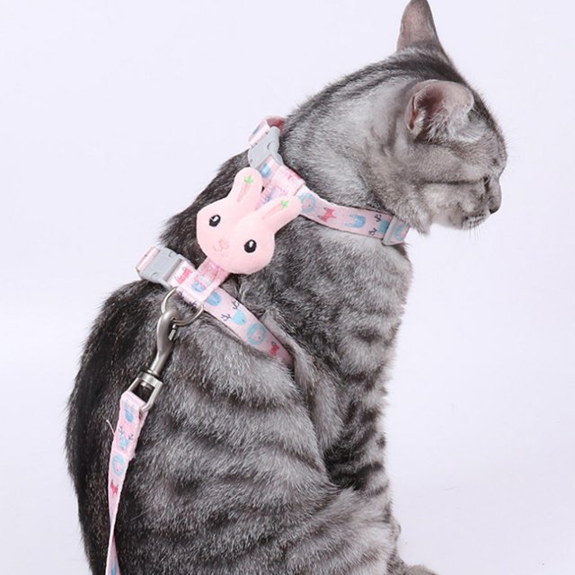 Cuerda de suave para , perros para caminar, entrenamiento de mascotas, suministros para mascotas, arnés de pecho ajustable tran Rosa S Colco Arnés para gatos