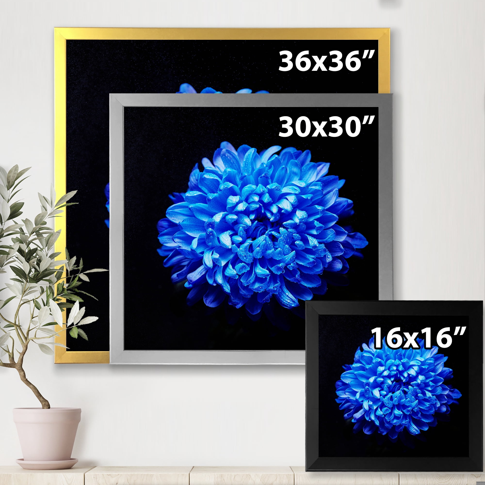 Designart 'Dew Drops on Blue Aster ' Traditional Framed Art Print