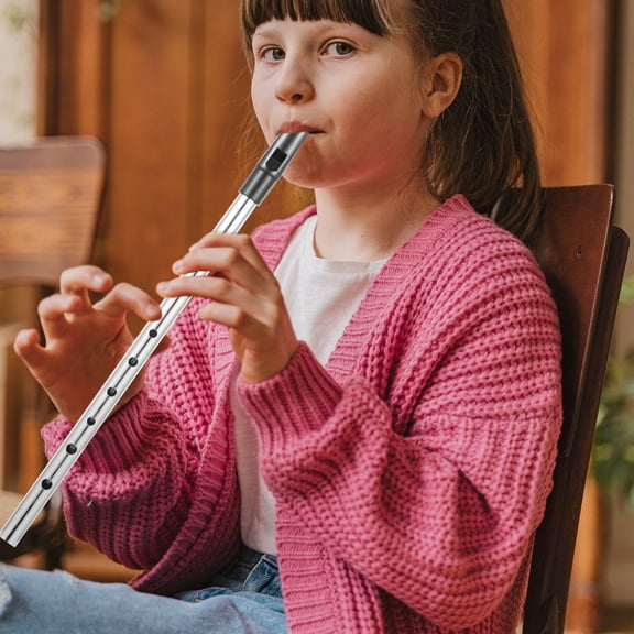 WHAMVOX Wind Musical Instrument Flute Metal Ireland Flute Ireland Whistle Flute In C Key