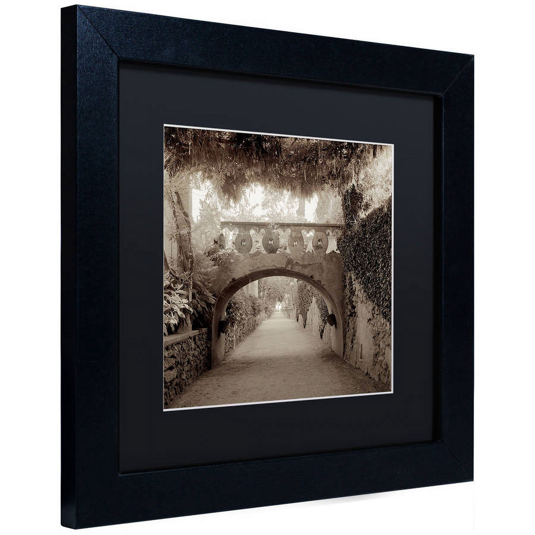 Trademark Fine Art "Giardini Italiano VI" Canvas Art by Alan Blaustein, Black Matte, Black Frame