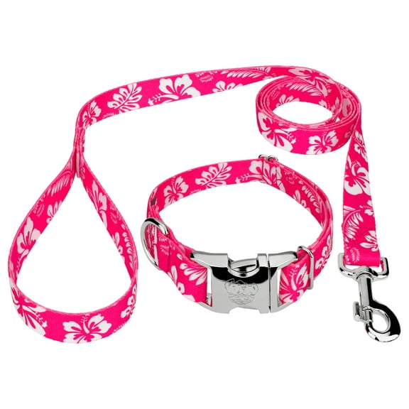Country Brook Petz® Premium Pink Hawaiian Dog Collar and Leash, Large