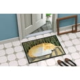 thumbnail image 4 of Carolines Treasures SS8760MAT Paillasson Intérieur Extérieur 18 x 27 Po. Golden Retriever, 4 of 4