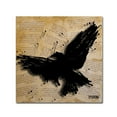 thumbnail image 2 of Roderick Stevens 'The Raven 2' Huge Canvas Art 35 x 35, 2 of 4