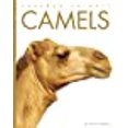 thumbnail image 1 of Camels (Amazing Animals), 1 of 1