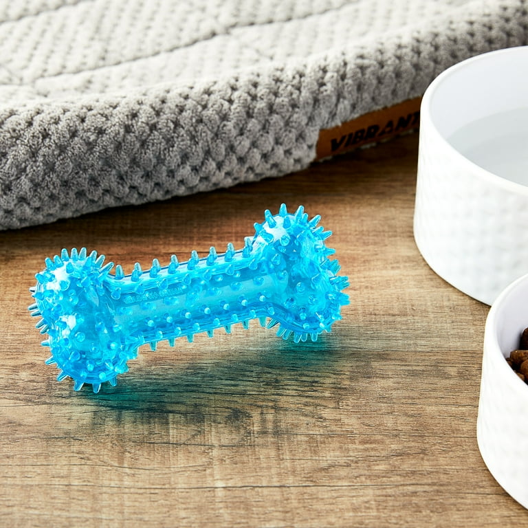 Vibrant Life Fetch Buddy Spiky Blue Bone Dog Toy Chew Level 3