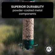 Droll Yankees Squirrel Proof Bird Feeders for Outdoors - YF-M - Flipper, Collapsible Perches, 5-Pound Seed Capacity, Green