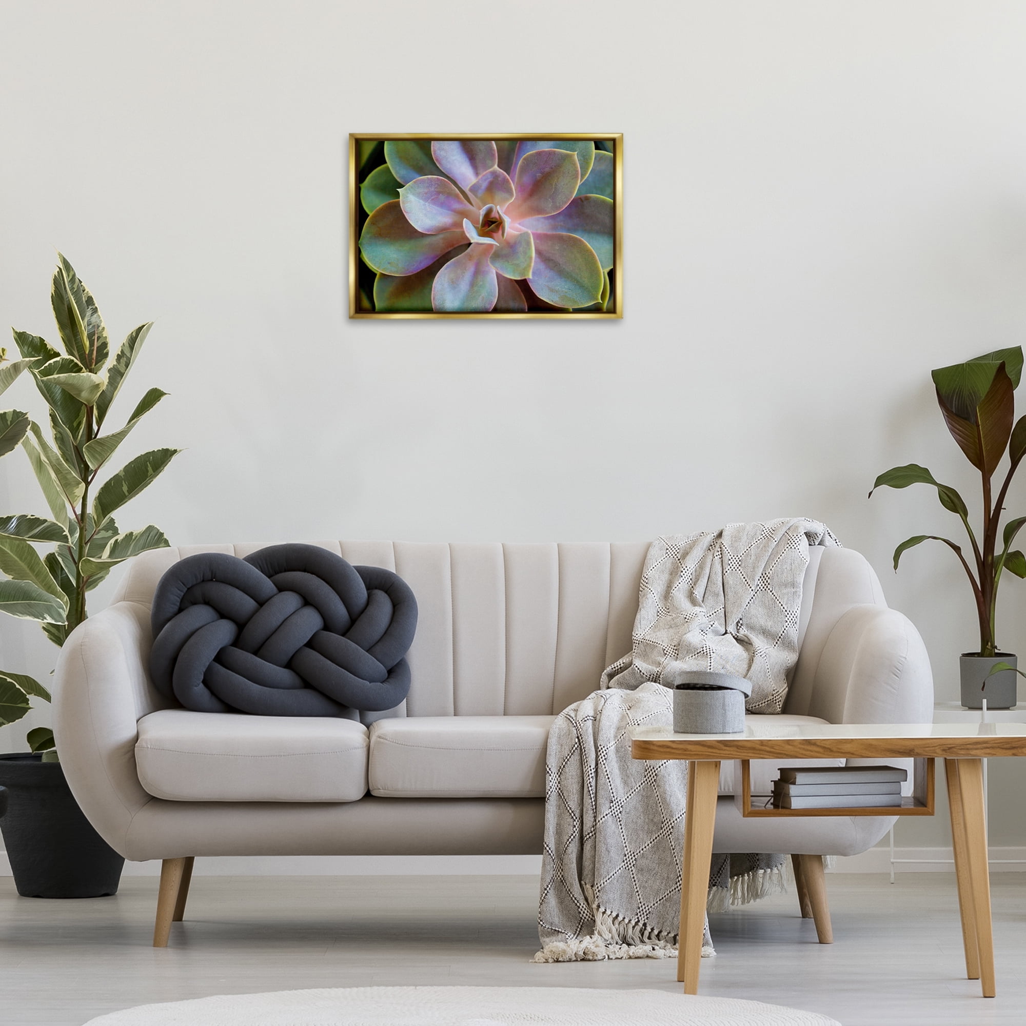 Stupell Industries Blooming Succulent Leaves Plants & Flowers Photography Gold Floater Framed Canvas Art Print Wall Art, 25 x 17