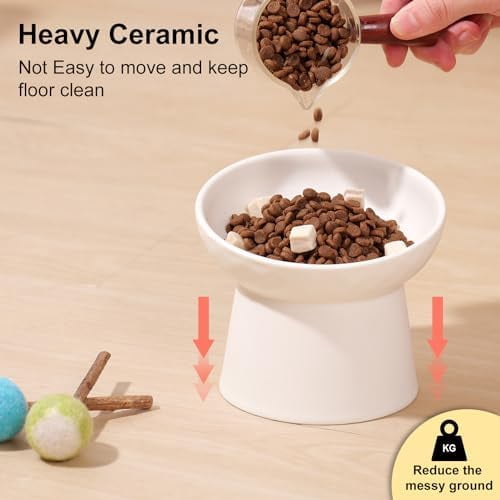 Small Raised Cat Bowls, Ceramic Tilted Elevated Food or Water Bowls, Stress Free, Backflow Prevention, Dishwasher & Microwave Safe, Lead & Cadmium Free, White