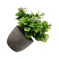 thumbnail image 1 of Bearachild Decoración artificial elegante plástica de la planta en conserva fácil limpiar aspecto realista respetuoso del medio ambiente Decoración nuevocafébebesaliento, 1 of 6
