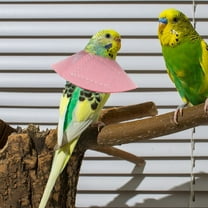 KONTONTY 4pcs Adjustable Recovery Bird Cone Collar Elizabeth Protective Collar Safe Neck Sleeve For Preventing Bite And Licking Wound Healing