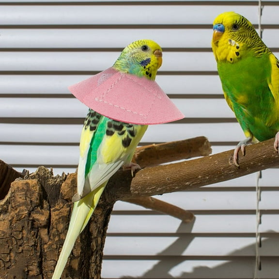 KONTONTY 4pcs Adjustable Recovery Bird Cone Collar Elizabeth Protective Collar Safe Neck Sleeve For Preventing Bite And Licking Wound Healing