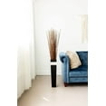 thumbnail image 7 of Green Floral Craft | 90-100 Stem Dried Asian Willow Decorative Branches 4-5 Feet Tall Floor Vase Filler (Honey), 7 of 7