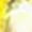 Yellow, variant on Sluggers Womens Waterproof Comfort Shoe, Chicken Yellow - 9
