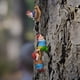 thumbnail image 5 of Xihbxyly Adorno de Enano Barbudo Blanco, Decoración de Jardín de Resina, Diseño de Árbol Trepador Duradero, Uso Interior y Exterior, Idea de Regalo Única, Decoración Caprichosa para El Hogar, Juego d, 5 of 7