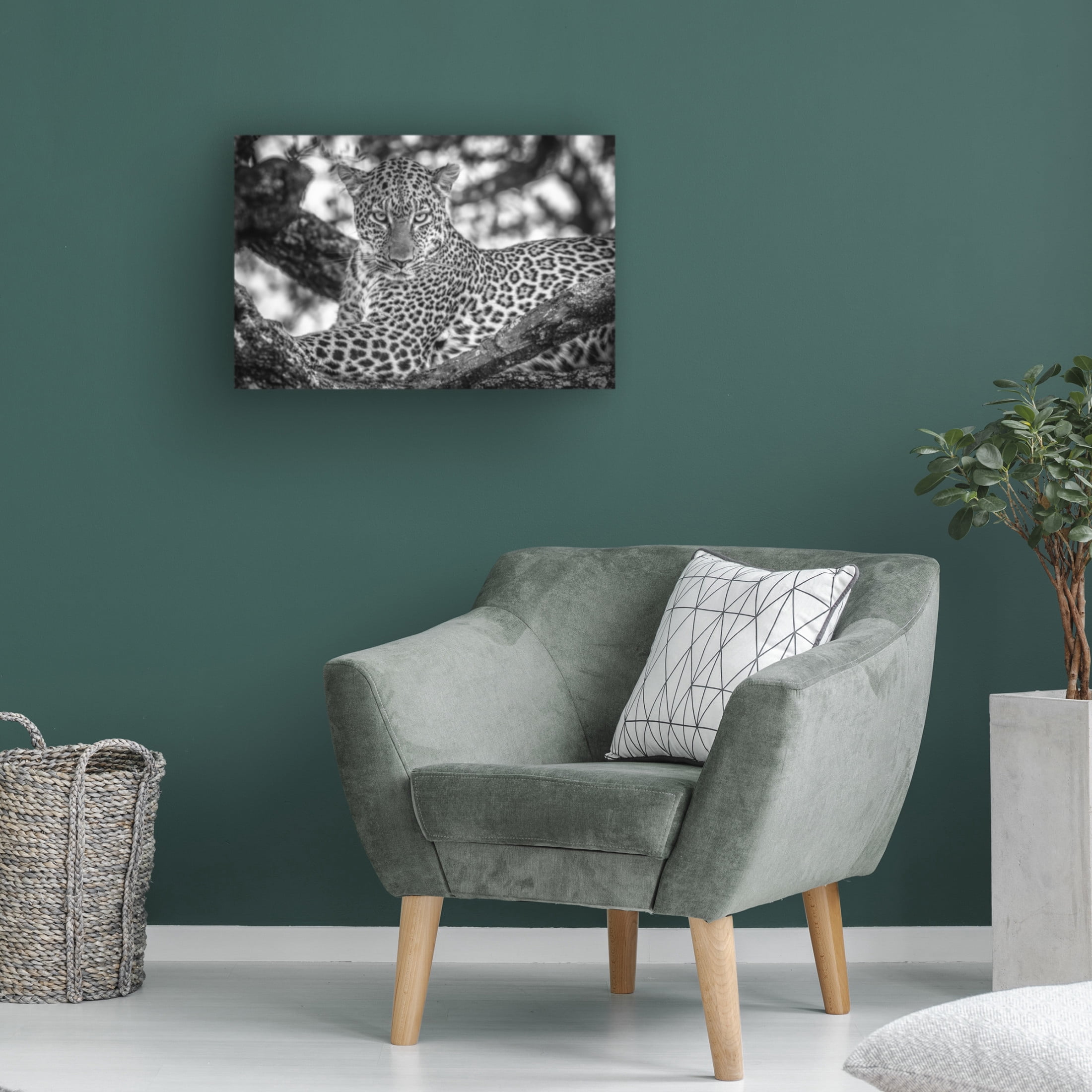Canvas Wall Art - Jeffrey C. Sink 'Monochrome Beauty' Wall Art for Living Room, Bedroom, or Office Décor by Trademark Fine Art - 24 x 16 Inches