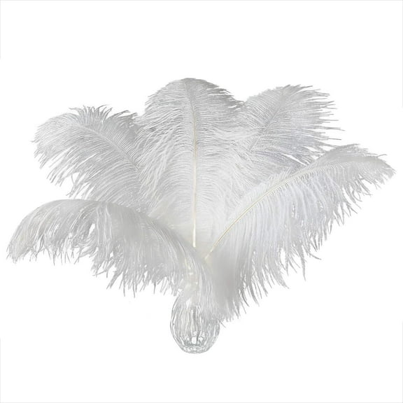 10Pcs 10-12 inch Natural White Ostrich Feathers - Craft, Home Decor, Wedding, Party, Christmas Tree & Vase