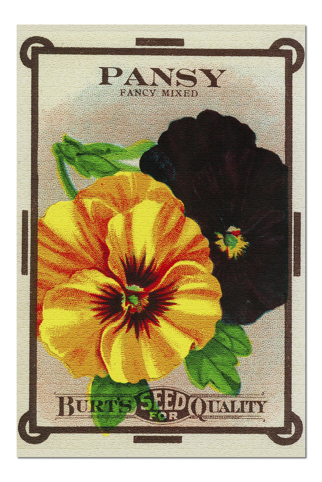 Pansy Vintage Seed Packet (20x30 Premium 1000 Piece Jigsaw Puzzle